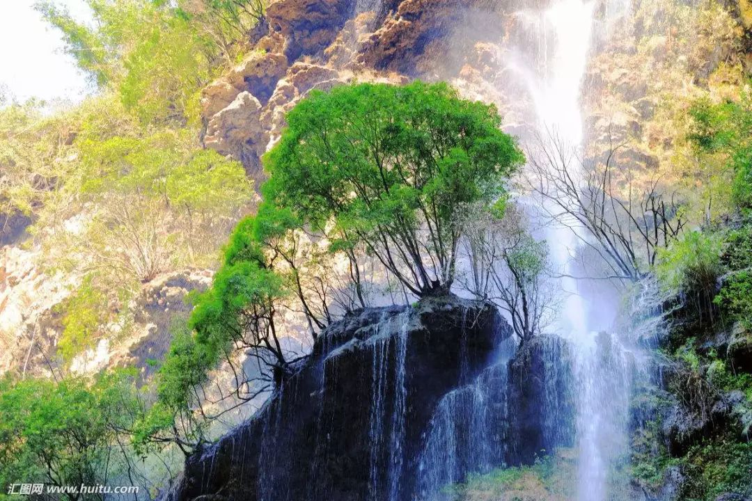 阳台豌豆苗_豌豆阳台种植方法_青豌豆阳台种植技术