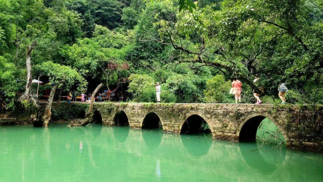 青豌豆阳台种植技术_豌豆阳台种植方法_阳台豌豆苗