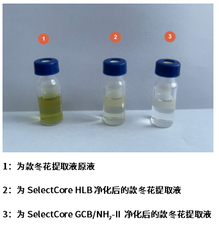 种植图片紫草技术图_种植图片紫草技术要求_种植紫草技术及图片