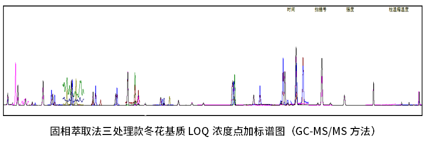 种植图片紫草技术图_种植图片紫草技术要求_种植紫草技术及图片