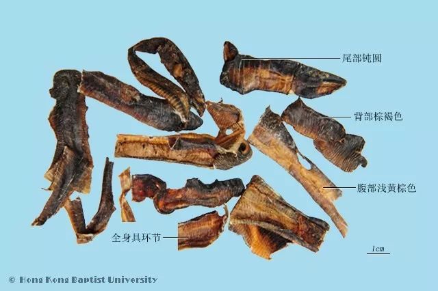 26种中药饮片真伪优劣鉴别图解（附彩图130幅）