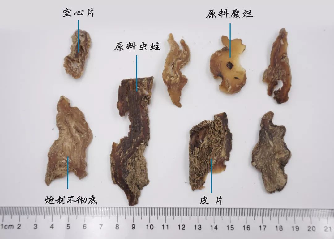 种植图片紫草技术视频_紫草的种植方法_种植紫草技术及图片