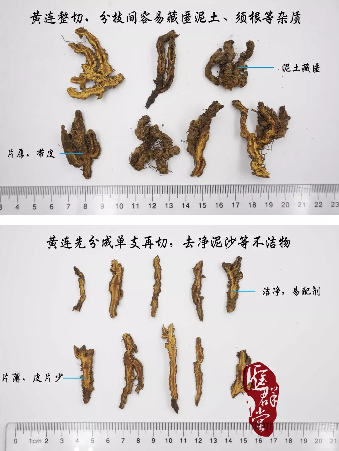 种植紫草技术及图片_紫草的种植方法_种植图片紫草技术视频