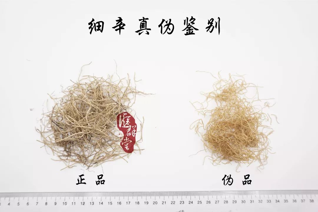 种植紫草技术及图片_种植图片紫草技术视频_紫草的种植方法