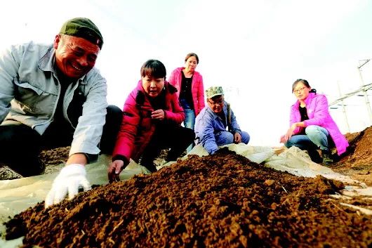 养蚯蚓的方法牛粪视频教程_养蚯蚓牛粪怎么发酵_鲜牛粪养殖蚯蚓技术