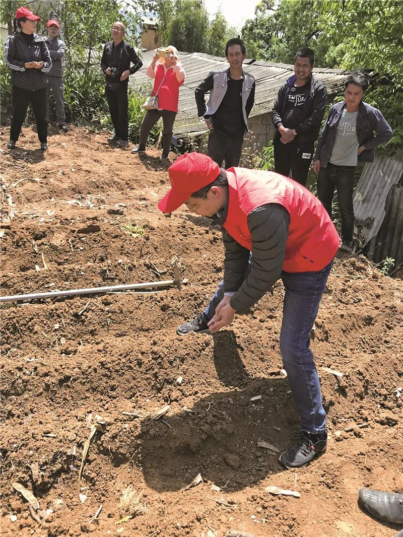 蚕养殖技术蚕养殖视频教程_木薯蚕虫_木薯蚕养殖技术