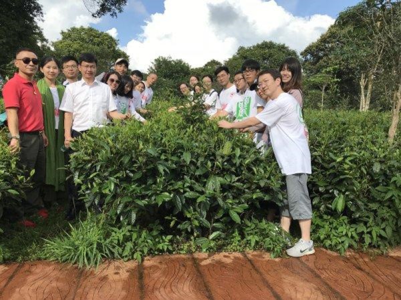 致富经江西林芝养鸡_致富经灵芝养鸡_致富经养鸡案例