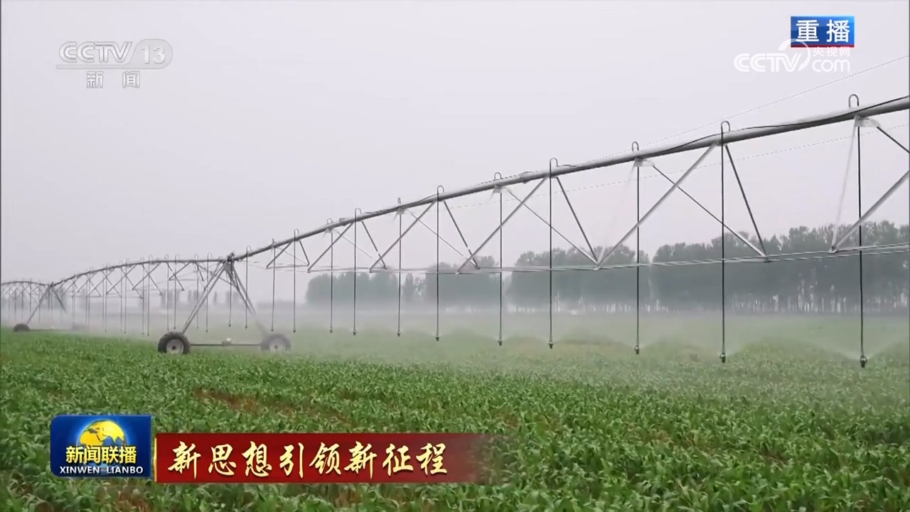 种植荔枝赚钱吗_种植荔枝致富例子_致富例子种植荔枝视频