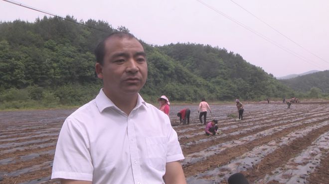 致富种植门路企业有哪些_致富种植门路企业名称_致富门路种植企业