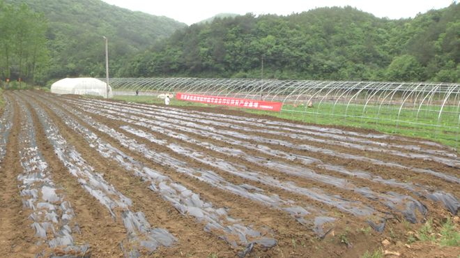 致富门路种植企业_致富种植门路企业有哪些_致富种植门路企业名称