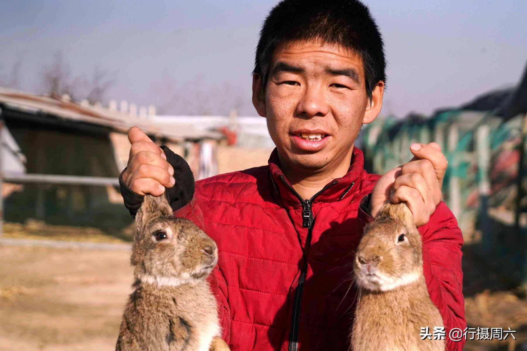 野外自然养殖_致富经特种野猪养殖视频_野外养殖致富模式