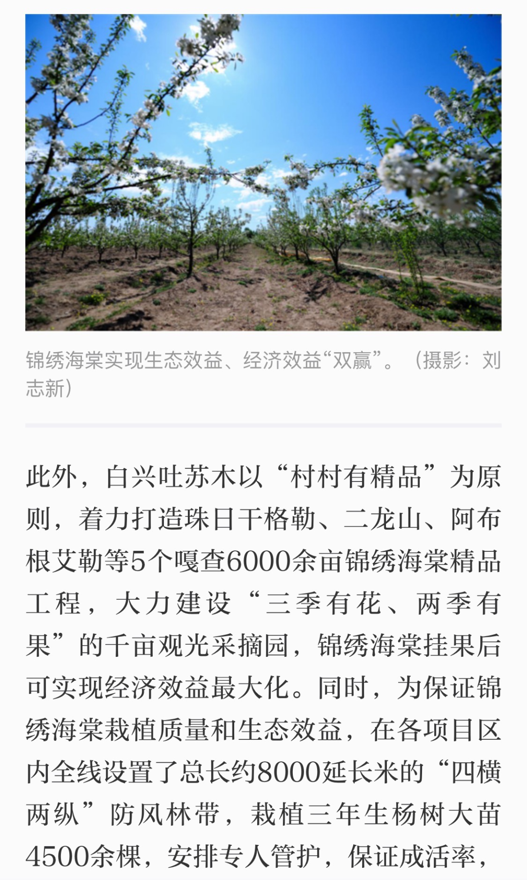 致富狐狸养殖基地在哪_致富经狐狸养殖视频_致富经狐狸养殖