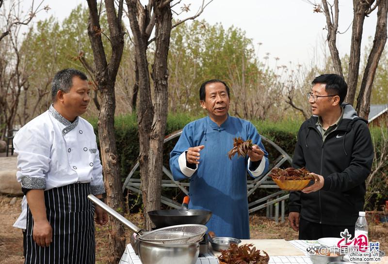 节气看乡村｜香椿绽放致富花 峪口镇贡椿第一村的美味秘密