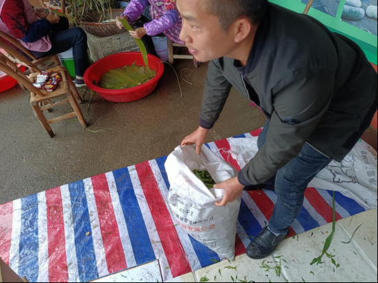 莲子种植视频_湖北的莲子多少钱一斤_荆州种植莲子致富