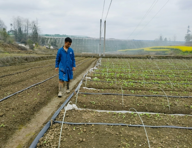 致富养牛创业视频_镇牛羊养殖致富_农村致富养牛