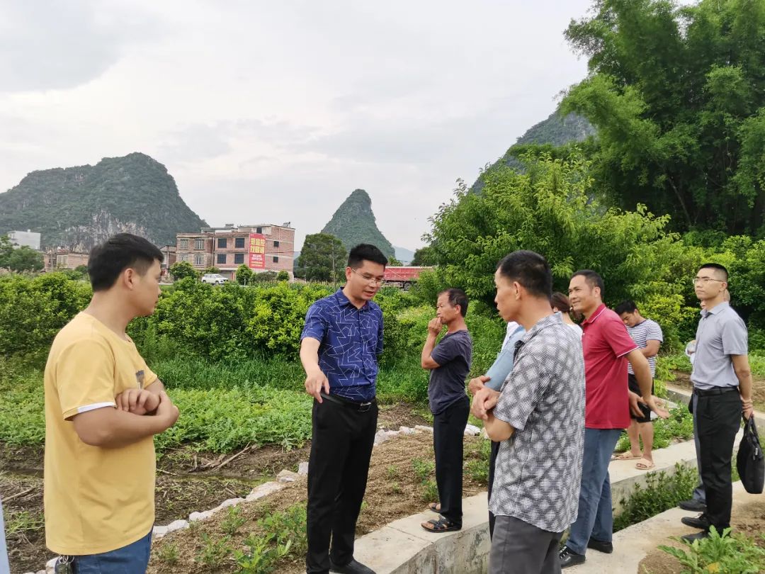 种植韭菜苔的市场效益_种植韭菜苔致富_韭菜苔种子多少钱一斤