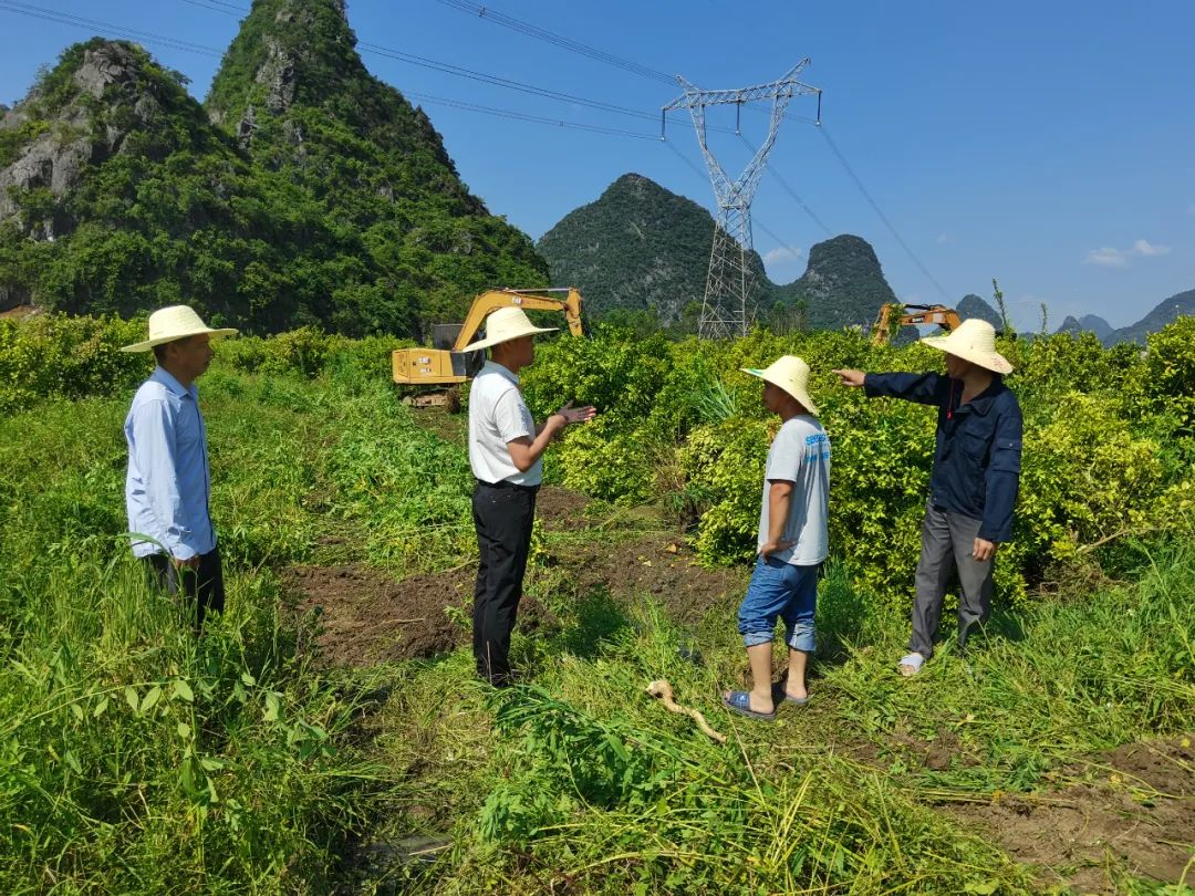 种植韭菜苔的市场效益_种植韭菜苔致富_韭菜苔种子多少钱一斤