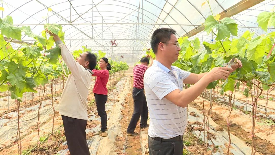 养水牛致富经_水牛养殖致富_致富养殖水牛赚钱吗