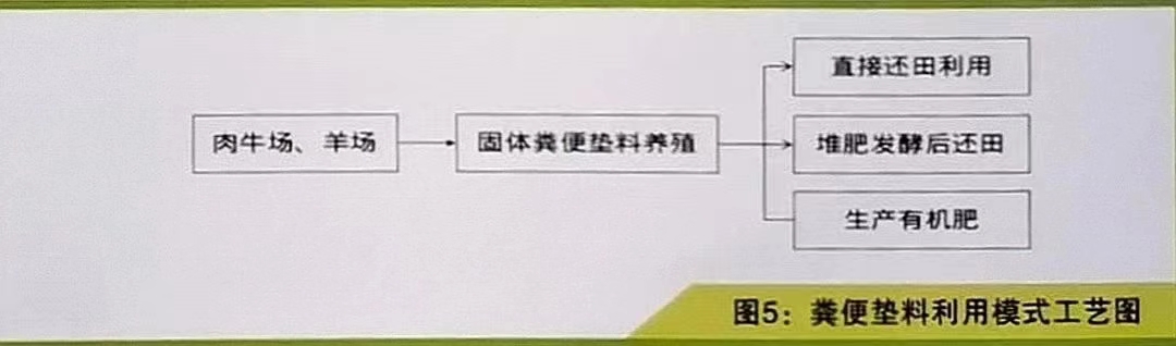 赣州养殖什么最合适_赣州养殖业_赣州养殖技术