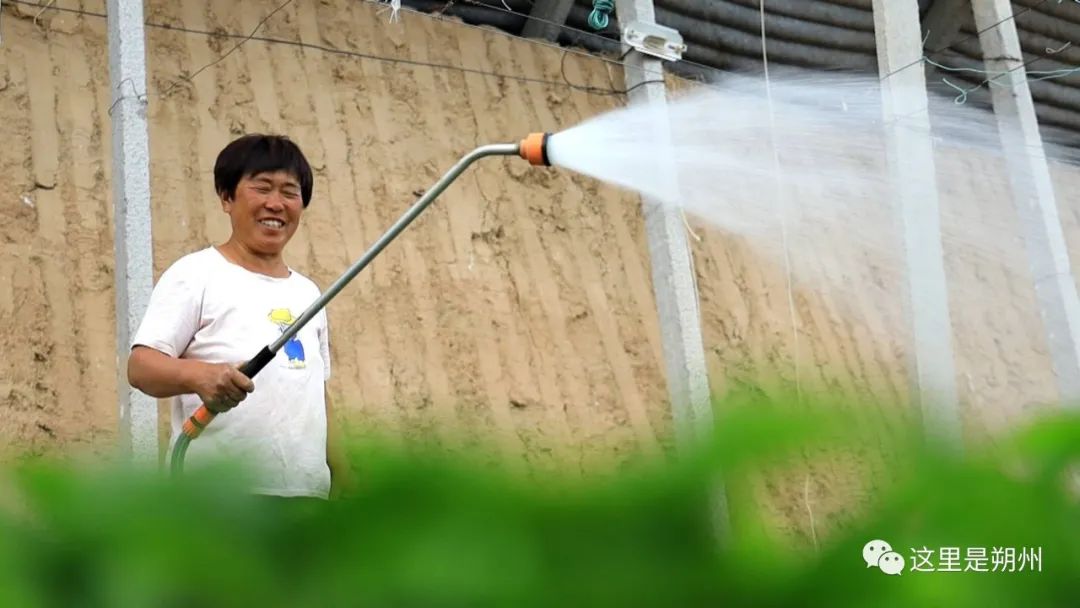 青椒什么时候种合适_青椒几月份种植技术_种青椒的季节