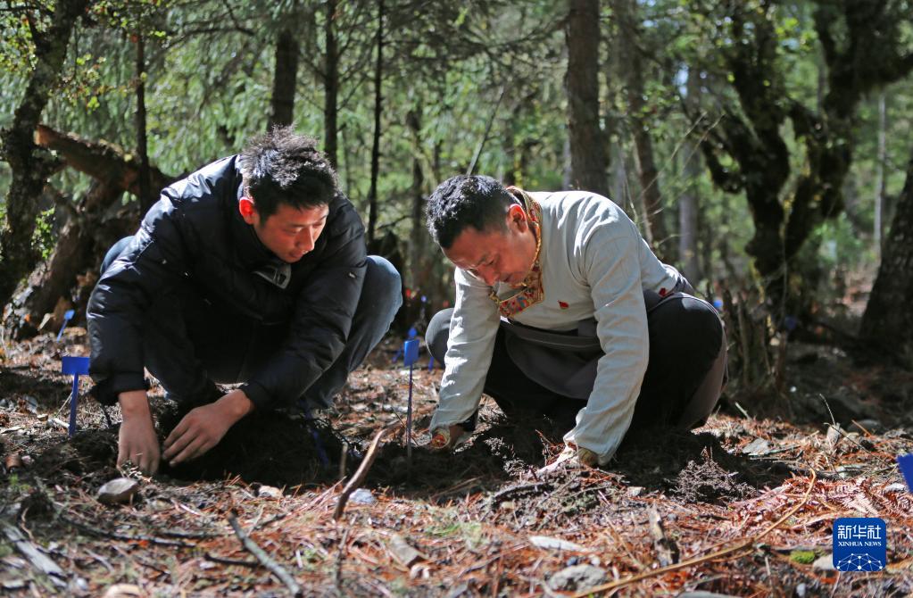 龙口养殖_龙口大棚种植区是哪_龙口种植致富