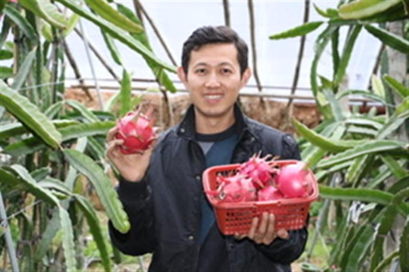 北方水果种植致富_北方水果种植新品种_适合北方水果种植的品种有哪些