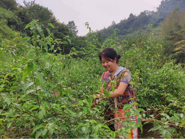 致富作坊加工厂地址_开作坊致富_致富经加工作坊