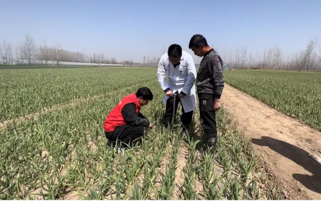 养殖锦鲤鱼视频_锦鲤养殖场需要投资多少钱_致富经地锦鲤养殖视频