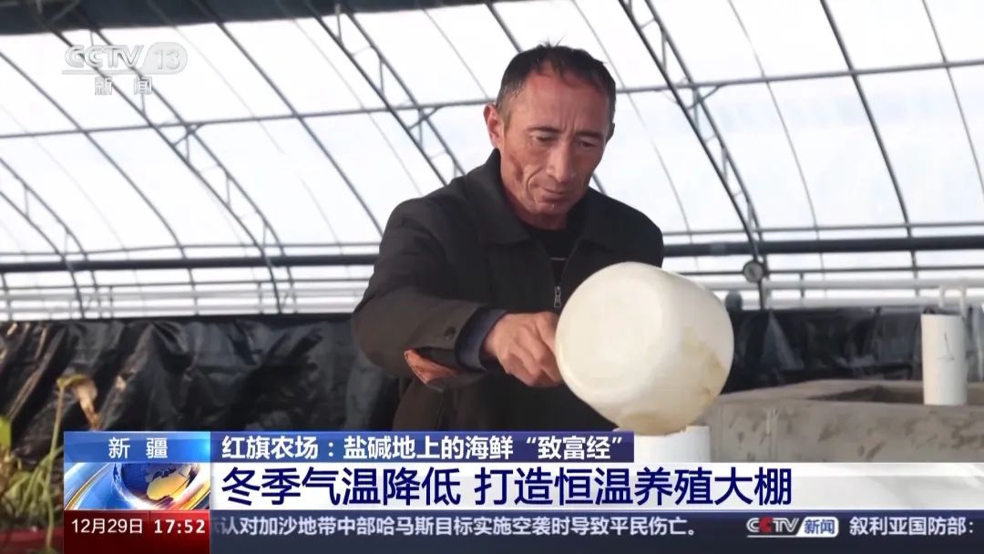 沙漠建设大型养殖场_致富经沙漠养殖_致富经沙漠养鱼