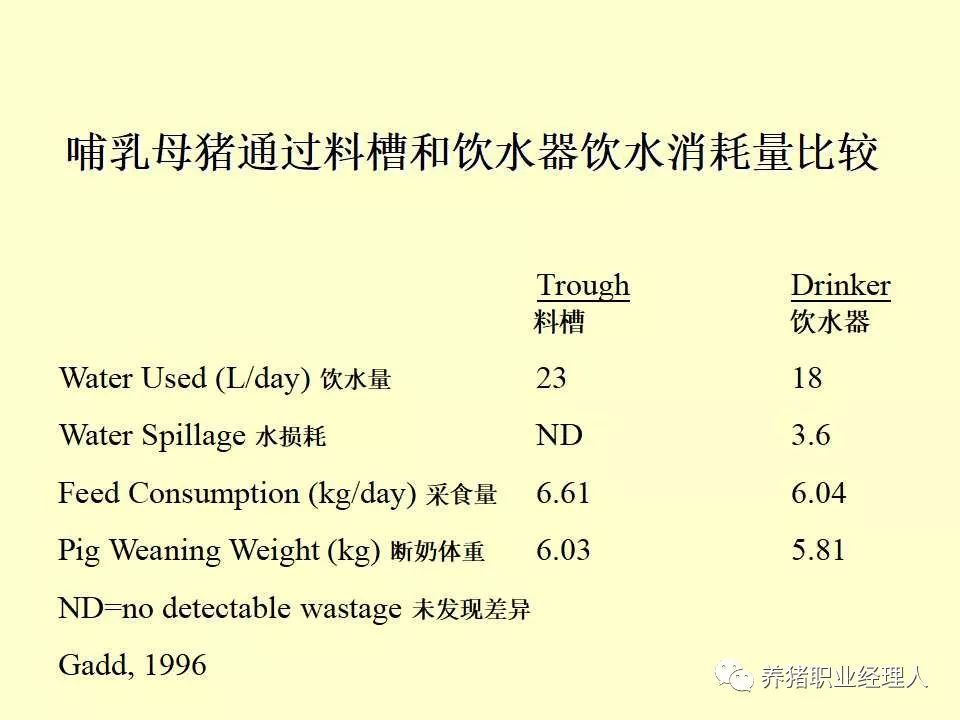 养殖猪技术培训视频大全_养殖猪技术知识_养殖猪的技术