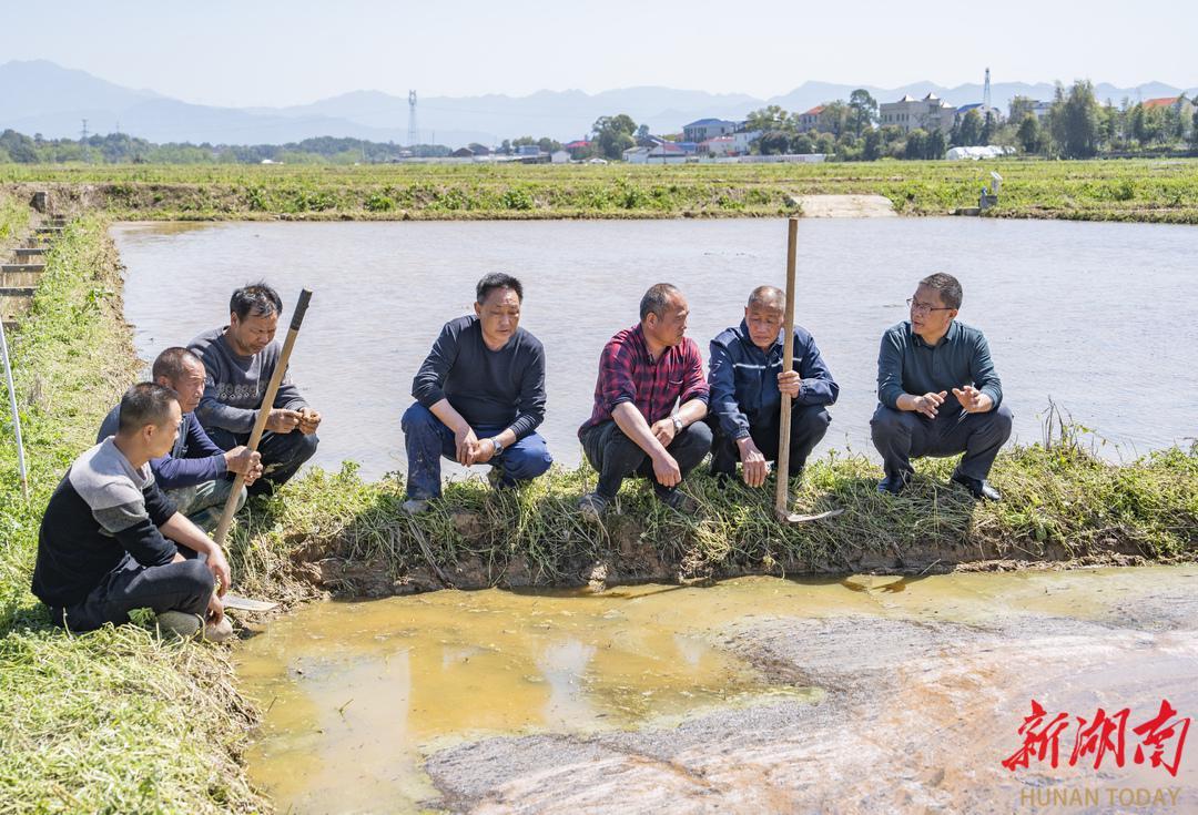 农村致富种植养殖技术_种养致富项目_村里的特色种养致富经