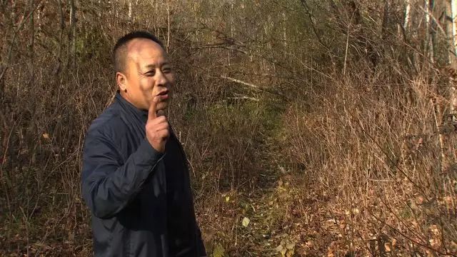 【节目视频】“李大蛤蟆”深山淘出千万财