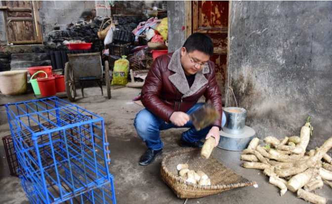 养殖豪猪致富经_养殖豪猪的前景如何_致富养殖豪猪赚钱吗