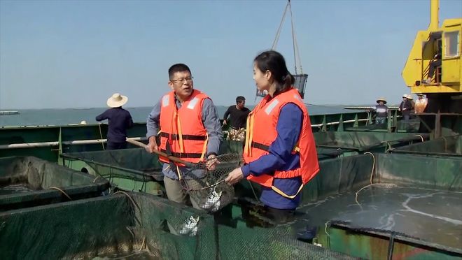 黑龙江养鱼基地_致富经黑龙江养鱼名人_东北黑龙江养鱼技术