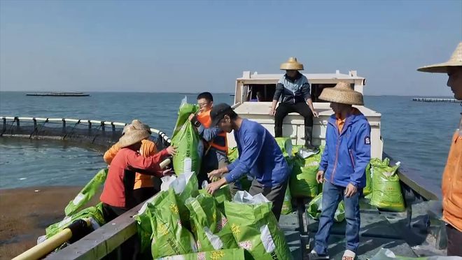 致富经黑龙江养鱼名人_黑龙江养鱼基地_东北黑龙江养鱼技术