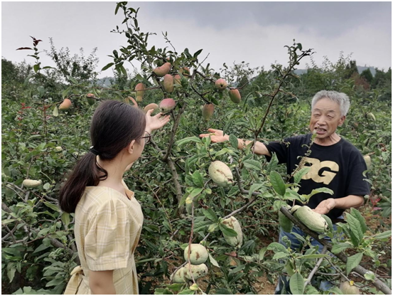 致富美食种植项目有哪些_美食种植致富项目_致富美食种植项目简介