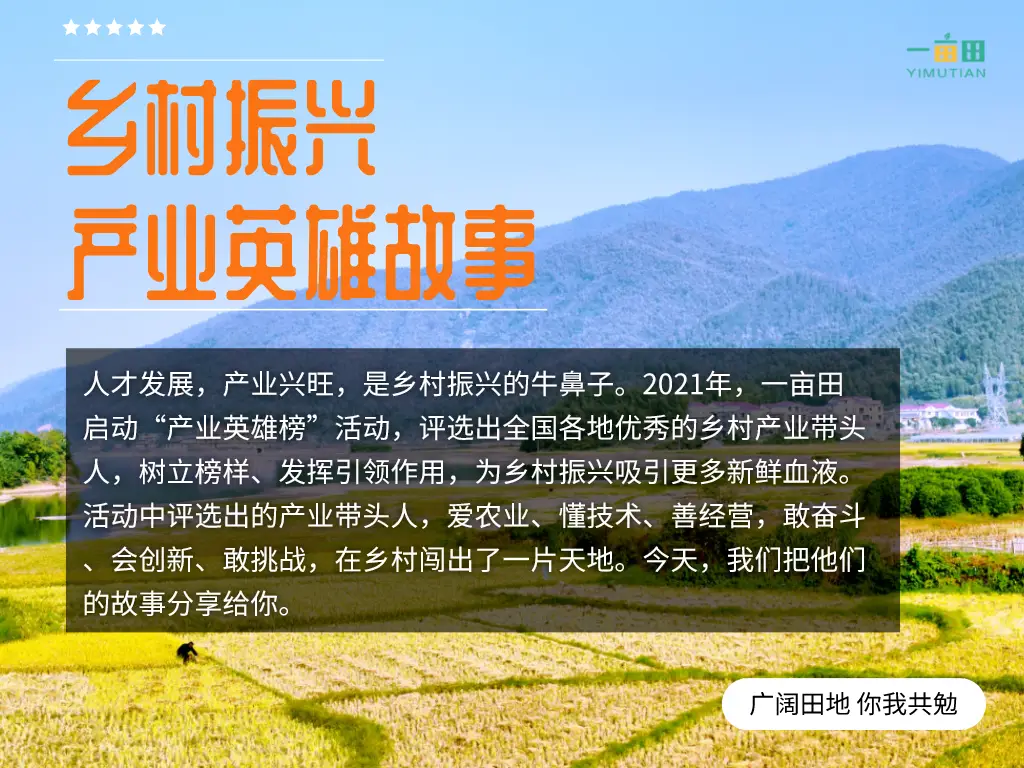 上央视啦！宁夏小伙子做蔬菜代办十几年，抓住商机承包300亩地种菜，年收入600万