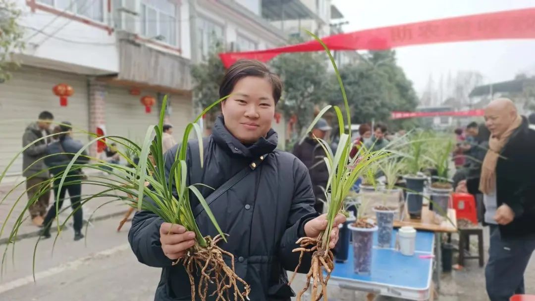 兰花种植致富经_致富经兰花种植视频_兰花致富经