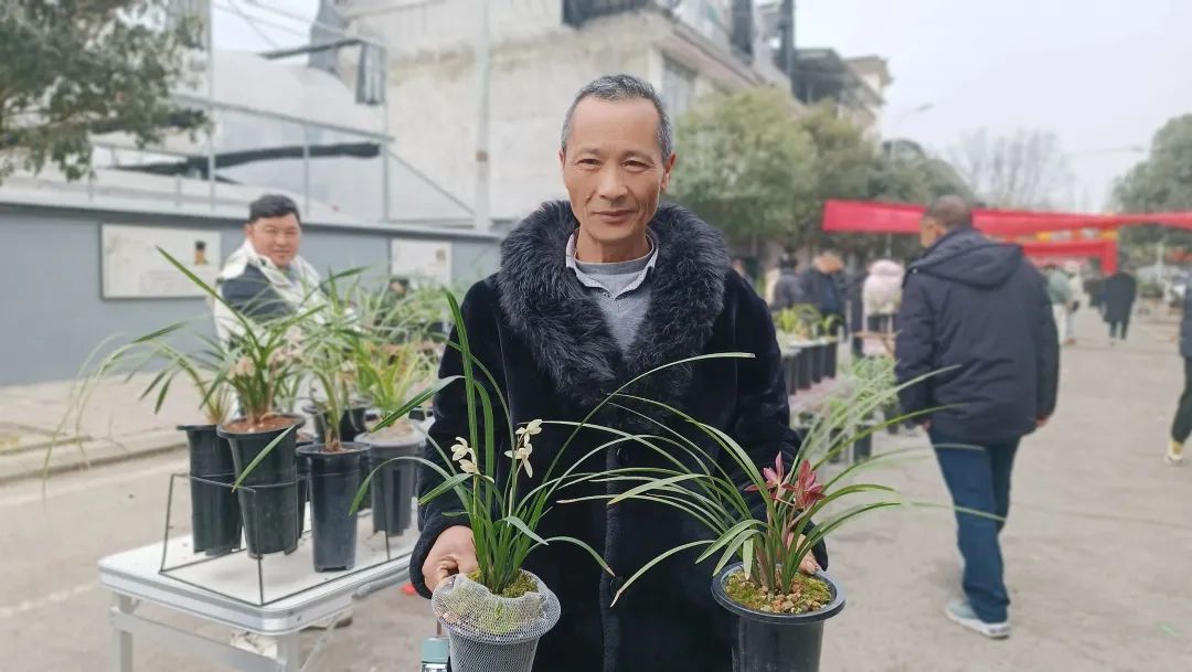 兰花种植致富经_致富经兰花种植视频_兰花致富经