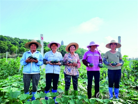 农旅融合+消费扶贫　铺就村民致富路