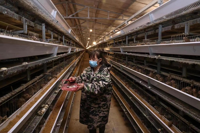 沁县种植致富基地_沁县种子公司_山西种植基地