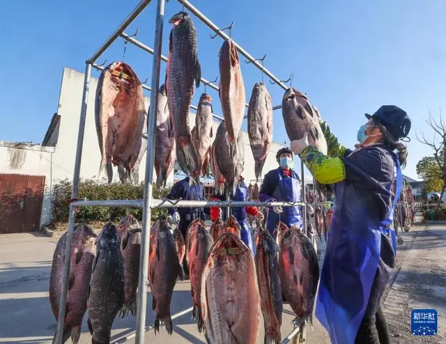 致富养殖青鱼图片_养殖青鱼致富_青鱼养殖利润怎样