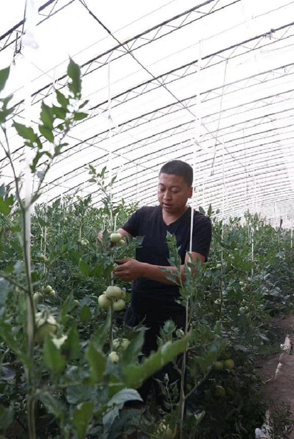 沁县种植致富基地_沁县种子公司_山西种植基地