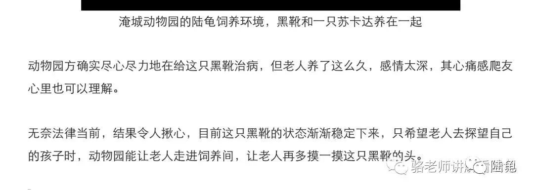 虎皮鹦鹉养殖技术视频_视频鹦鹉养殖虎皮技术教程_虎皮鹦鹉养殖场视频