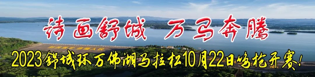 怎样学好肉鸽养殖技术_肉鸽养殖新技术_肉鸽养殖肉鸽养殖