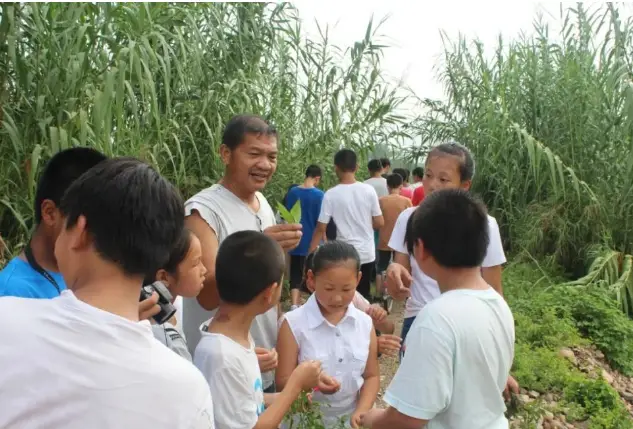 坚守40年! 天台深山采药人, 留住独门绝技!