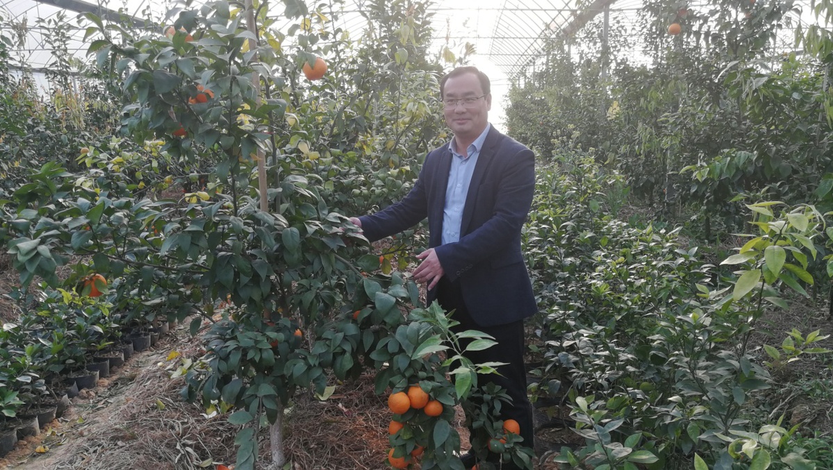 江西遂川那里有羊乐乐奶粉批发_江西遂川中学_江西遂川种植致富