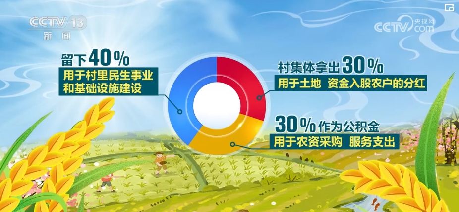 农村致富新项目种植_致富种植农村新闻报道_农村致富新种植