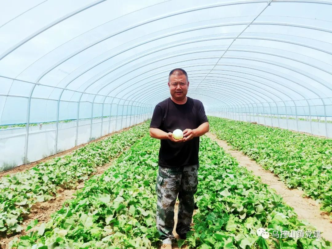 室内种植什么赚钱_室内种植创业_室内种植致富的