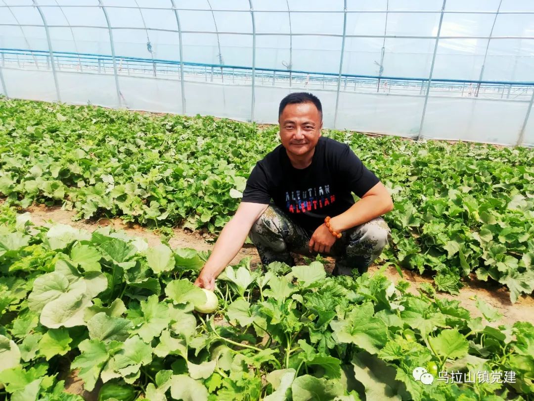 室内种植什么赚钱_室内种植创业_室内种植致富的